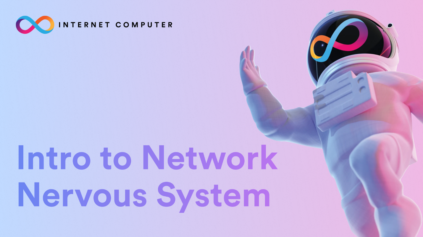 Network Nervous System – Đầu não quan trọng nhất của hệ ICP